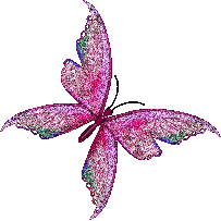 ♡. jolie le papillion ♡.